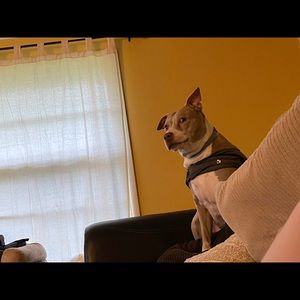 Meet your Posher, Conner